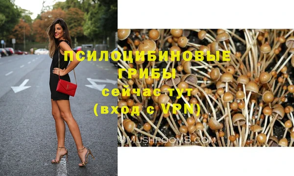 таблы Богородск