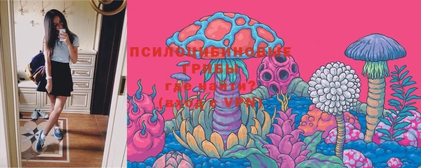 прущая мука Богданович